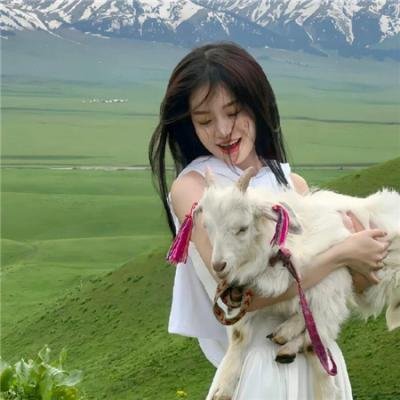 玫瑰天涯海报